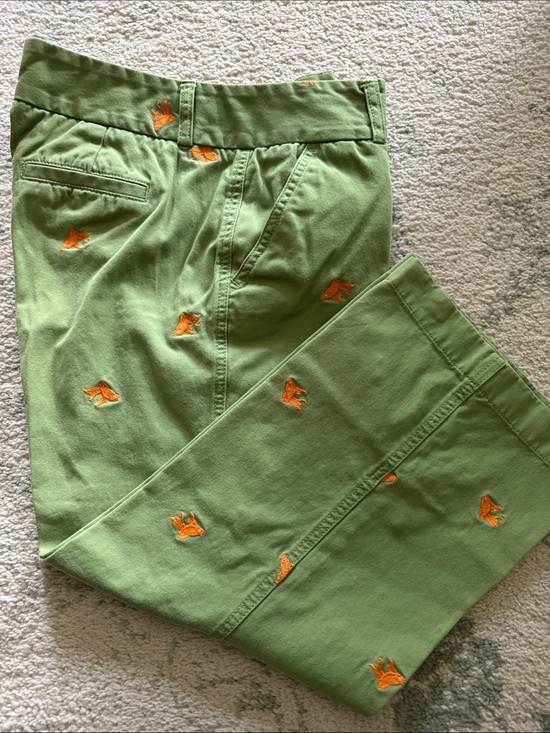 J. Crew Pants - J. Crew Green Embroidered Capris with Orange Motifs